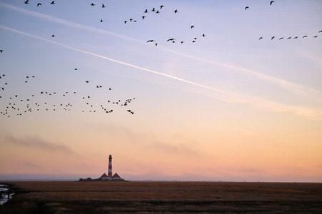 Leuchtturm Westerheversand bei Westerhever