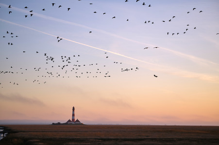 Leuchtturm Westerheversand bei Westerhever