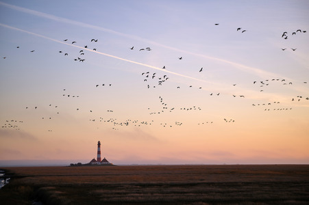 Leuchtturm Westerheversand bei Westerhever