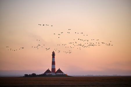 Leuchtturm Westerheversand bei Westerhever