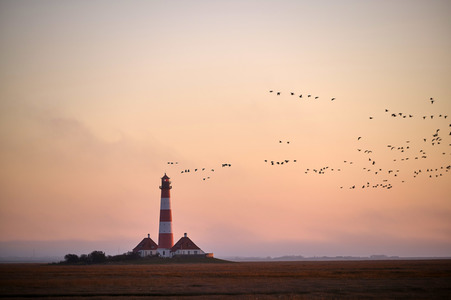 Leuchtturm Westerheversand bei Westerhever