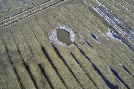 Küstenregion bei Westerhever