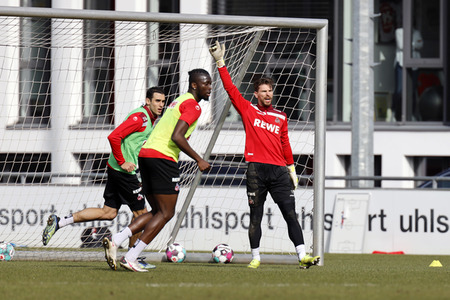 Training des 1. FC Köln