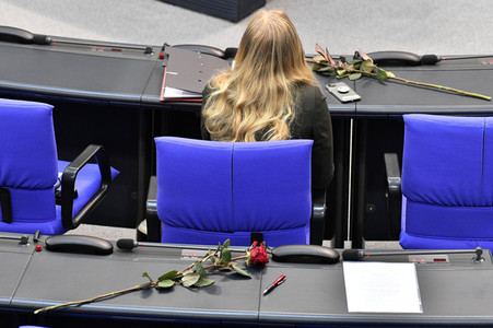 216. Sitzung des Deutschen Bundestages in Berlin
