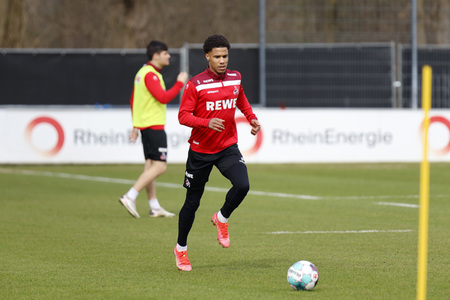 Training des 1. FC Köln
