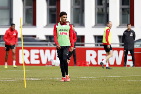Training des 1. FC Köln