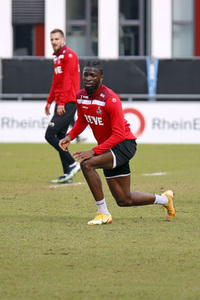 Training des 1. FC Köln