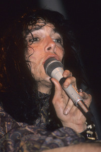 Konzert von The Fuzztones in London