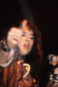 Konzert von The Fuzztones in London