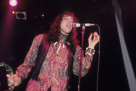 Konzert von The Fuzztones in London