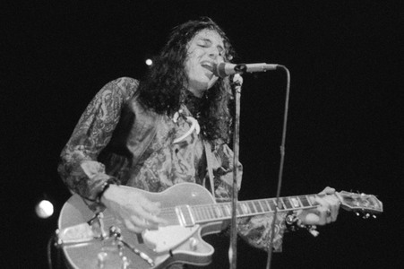 Konzert von The Fuzztones in London