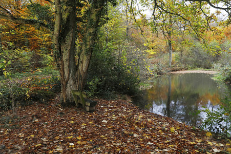 'Internationaler Tag des Waldes / International Day of Forests'-Bodypainting