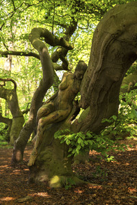 'Welttag des Holzes / World Wood Day'-Bodypainting