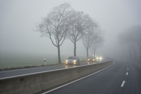Symbolfoto Nebel im Straßenverkehr