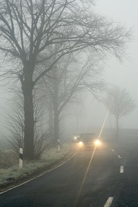 Symbolfoto Nebel im Straßenverkehr