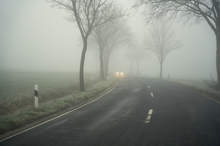 Symbolfoto Nebel im Straßenverkehr