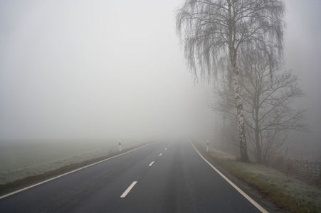 Symbolfoto Nebel im Straßenverkehr