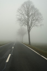 Symbolfoto Nebel im Straßenverkehr