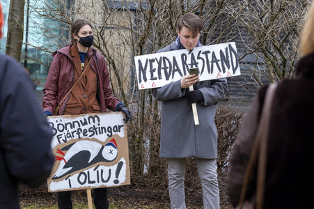 Fridays for Future Demo in Reykjavik