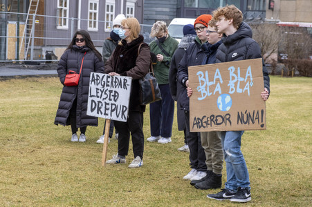 Fridays for Future Demo in Reykjavik