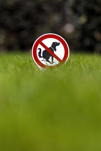 Symbolfoto Hundeklo