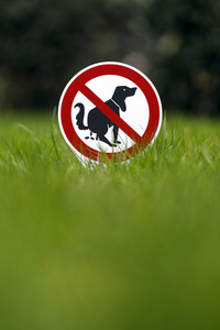 Symbolfoto Hundeklo