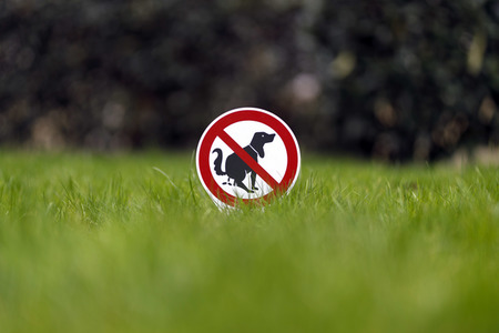 Symbolfoto Hundeklo