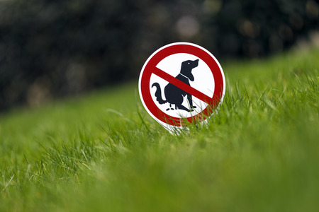 Symbolfoto Hundeklo