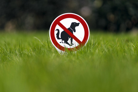 Symbolfoto Hundeklo