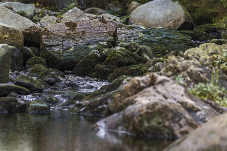 'Weltwassertag / World Water Day'-Bodypainting
