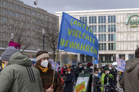Globaler Klimastreik von Fridays for Future in Berlin