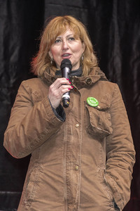 Alarmstufe Rot - Alster in Flammen in Hamburg