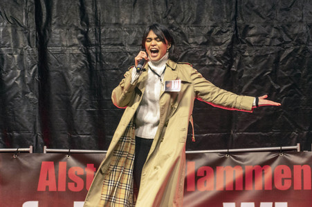 Alarmstufe Rot - Alster in Flammen in Hamburg