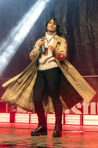 Alarmstufe Rot - Alster in Flammen in Hamburg