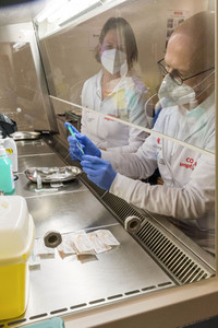 Peter Tschentscher bei der Arbeit im Impfzentrum in Hamburg