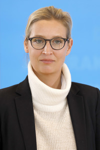 Pressestatement der AfD in Berlin