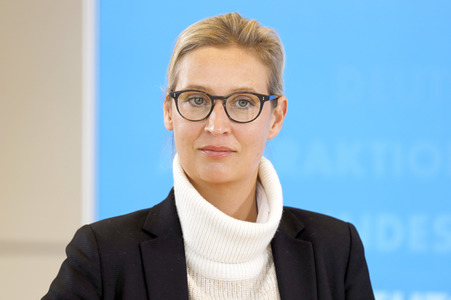 Pressestatement der AfD in Berlin