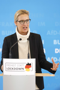 Pressestatement der AfD in Berlin