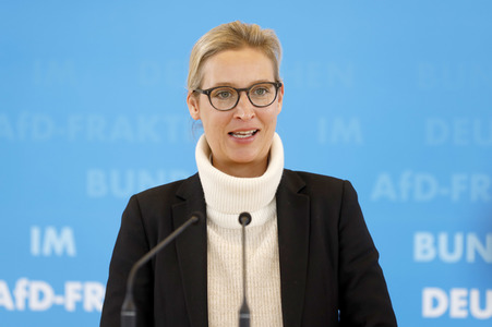 Pressestatement der AfD in Berlin