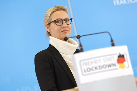 Pressestatement der AfD in Berlin