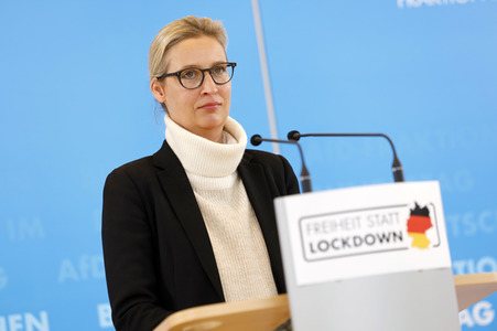 Pressestatement der AfD in Berlin
