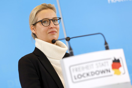 Pressestatement der AfD in Berlin