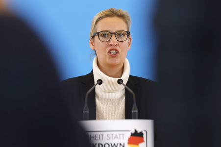 Pressestatement der AfD in Berlin