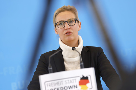 Pressestatement der AfD in Berlin