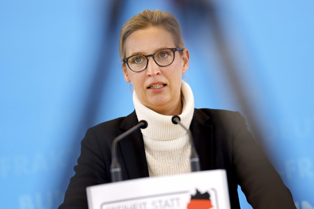 Pressestatement der AfD in Berlin