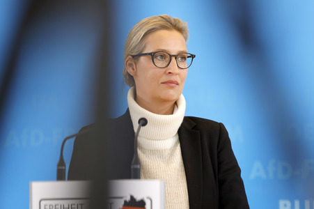 Pressestatement der AfD in Berlin