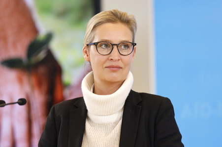 Pressestatement der AfD in Berlin