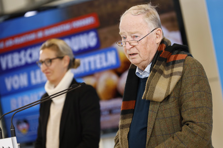 Pressestatement der AfD in Berlin