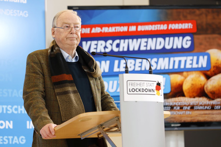 Pressestatement der AfD in Berlin