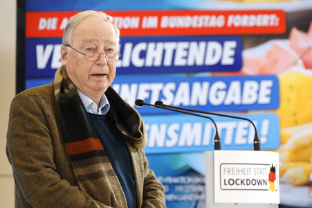 Pressestatement der AfD in Berlin